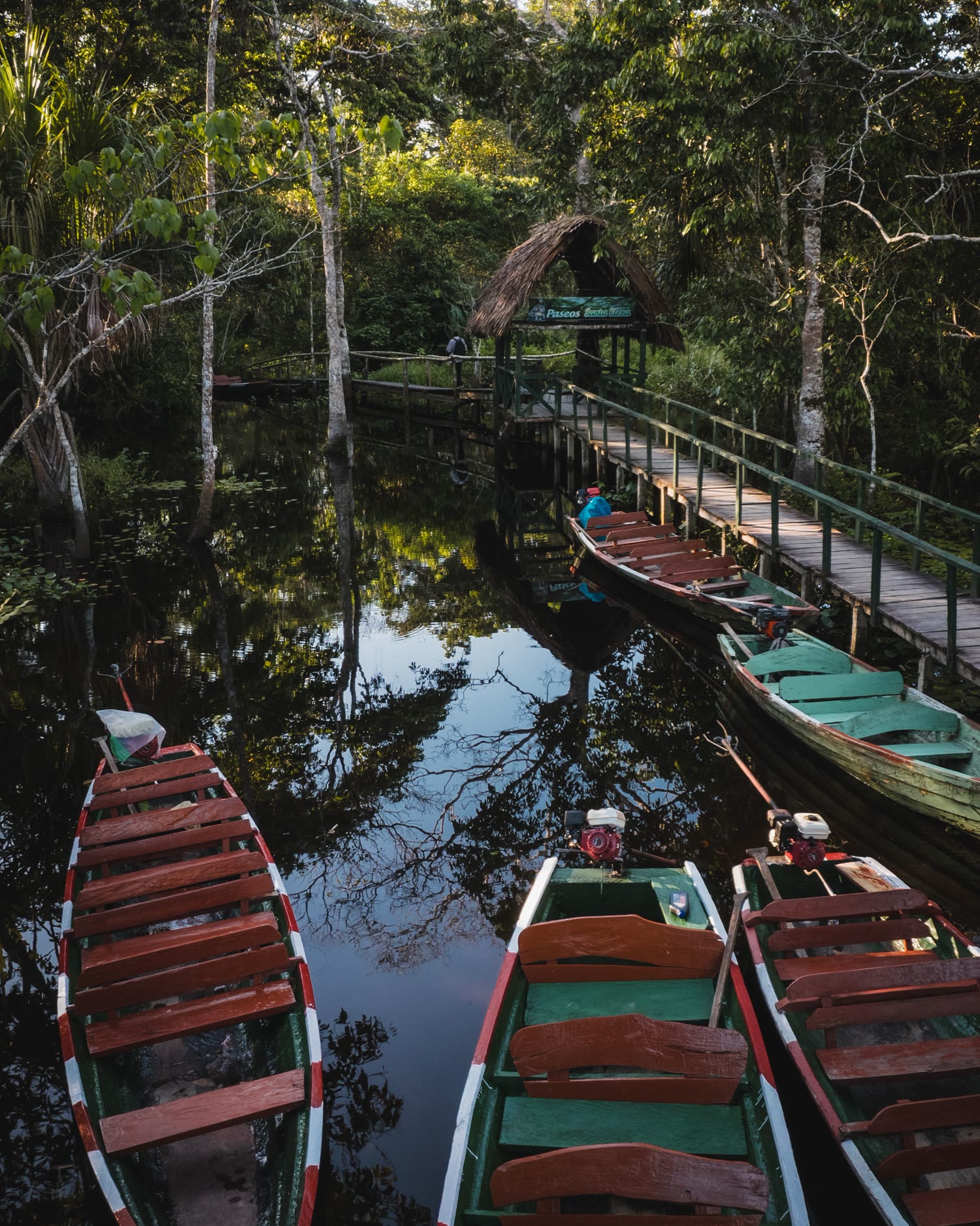 Canoes at a rainforest landing in the Ecuadorian Amazon